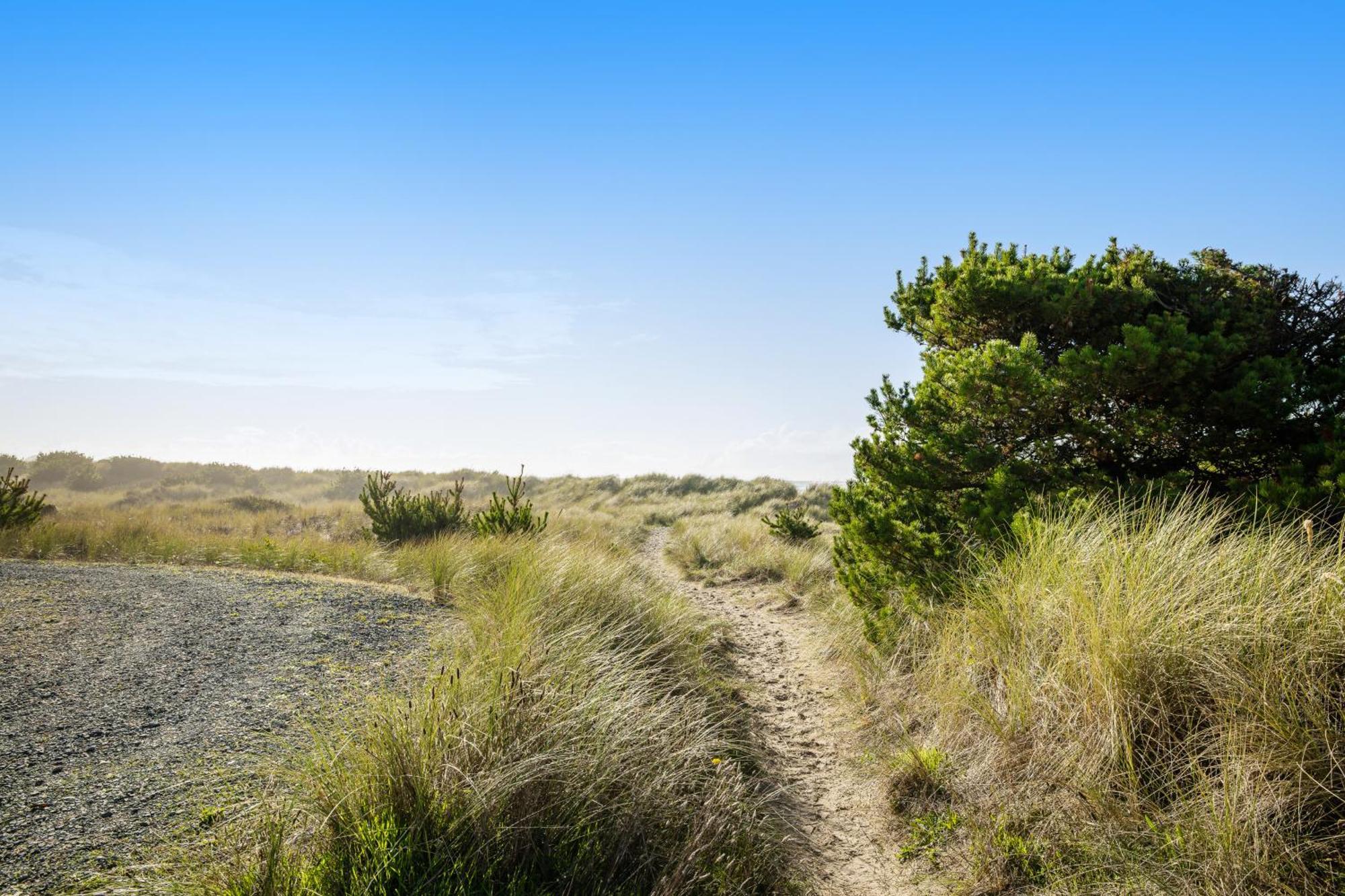 Paradise Beach Rockaway Beach Eksteriør bilde